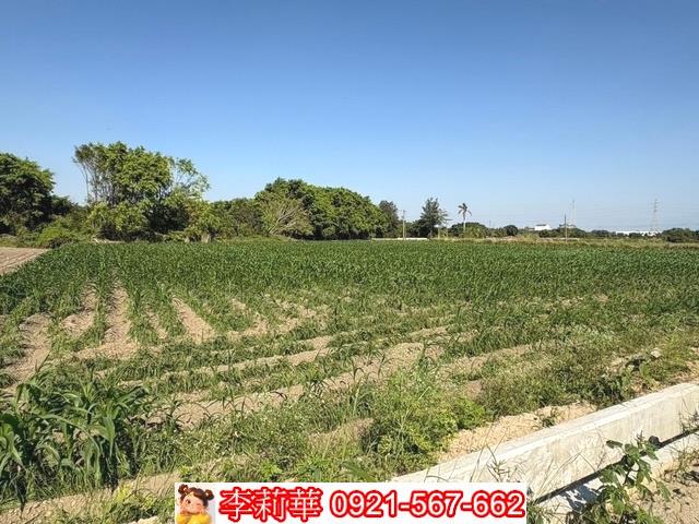 台南農地-4