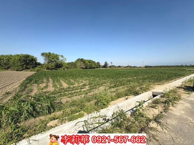 台南農地-5