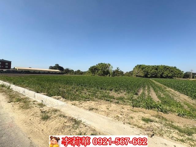 台南農地-6