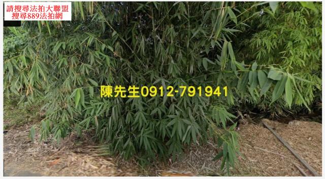新化農地法拍-2