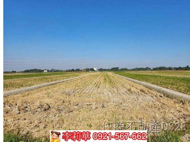 台南東山農地-6