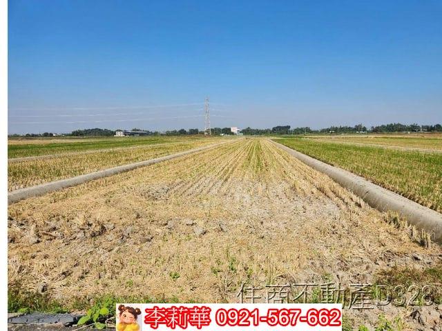 台南東山農地-8