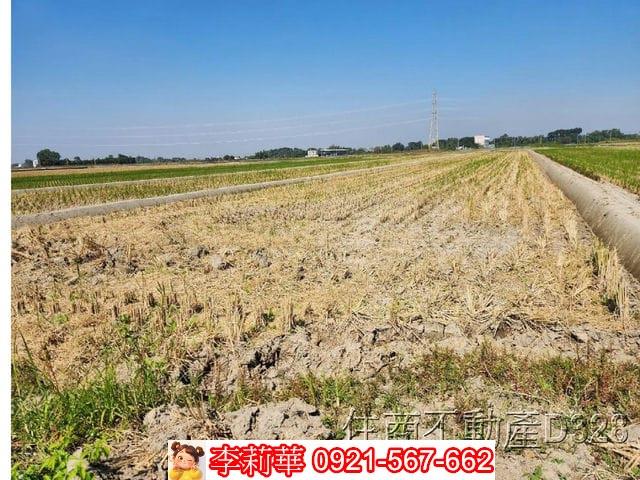 台南東山農地-9