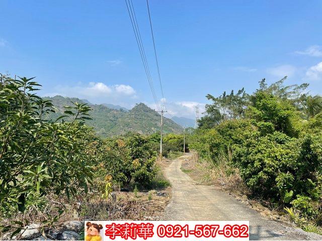 台南楠西農地-1