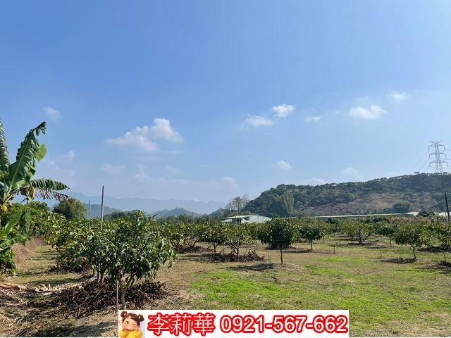 台南楠西農地-2