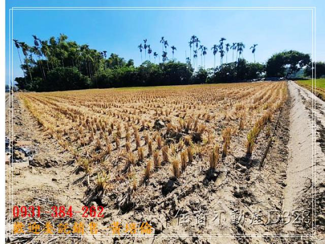 吉貝耍俗賣休閒農地A