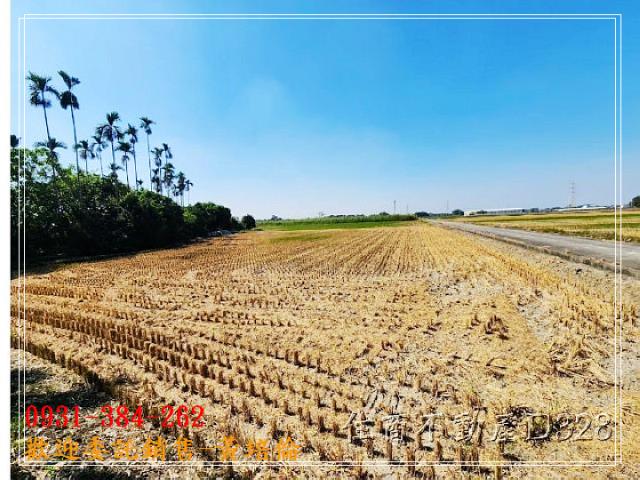 台南培倫房屋土地王