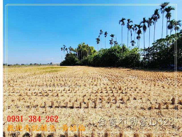 H。蝸牛居黃培倫