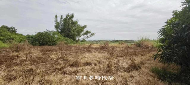 台南仁德農地-2