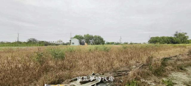 台南仁德農地-3