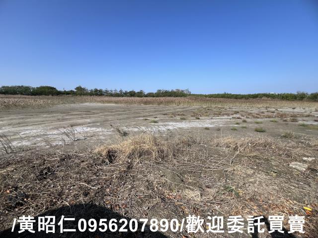 七股農地-5