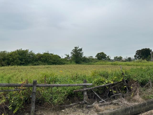 台南農地-11