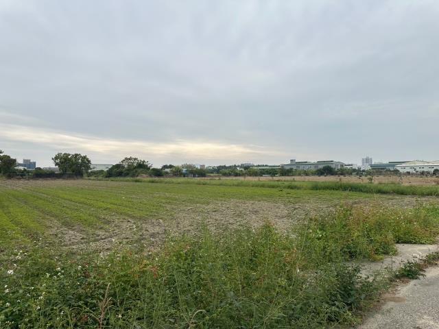 台南農地-6