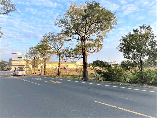 台南新化農地-4