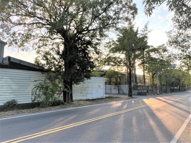 台南新化農地-6