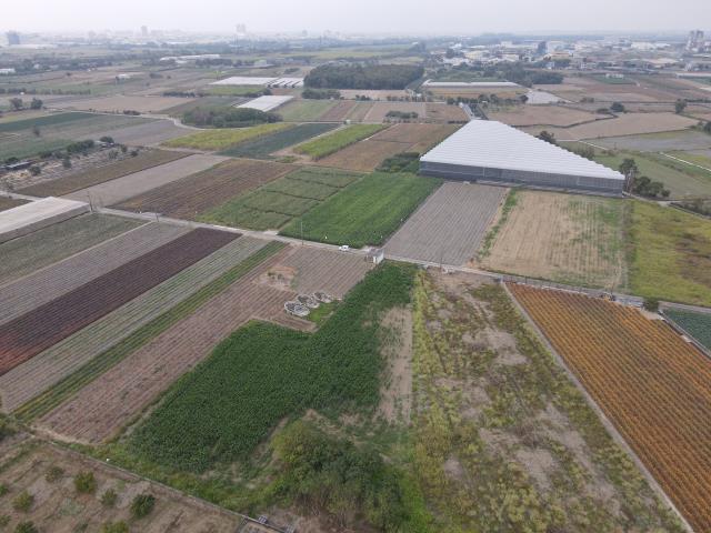 台南農地-1