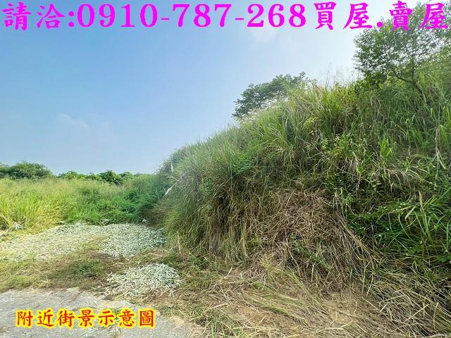 關廟農地-13