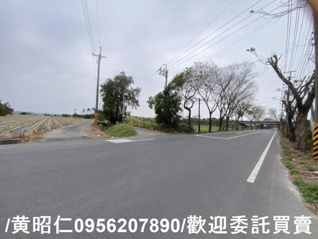 台南新市農地-10