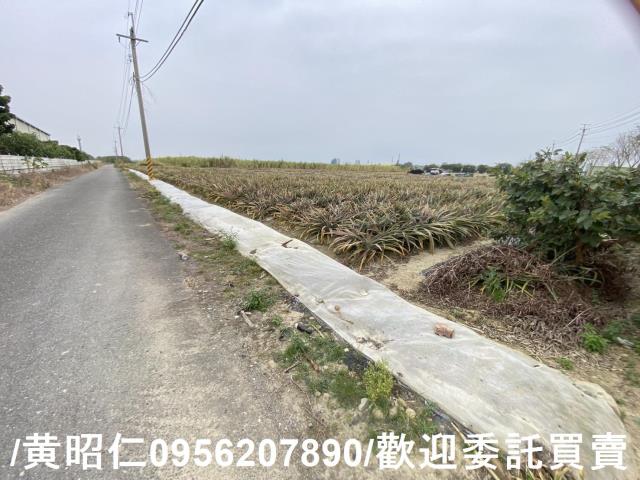 台南新市農地-12