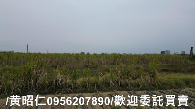 台南新市農地-14