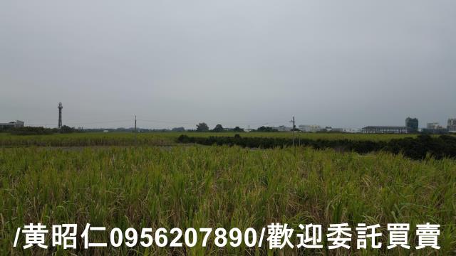 台南新市農地-15