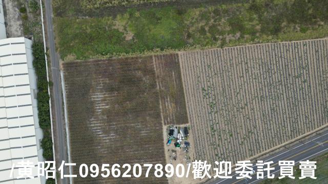 台南新市農地-2