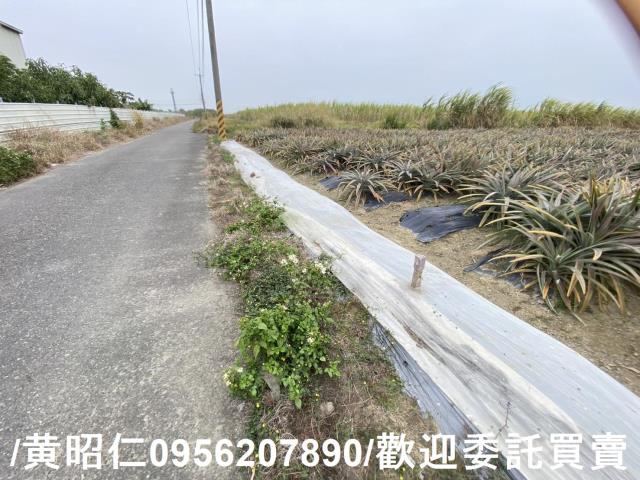 台南新市農地-4