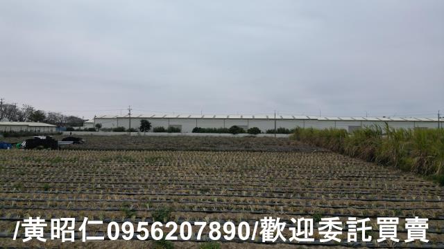 台南新市農地-5