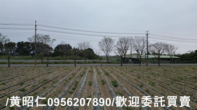 台南新市農地-1