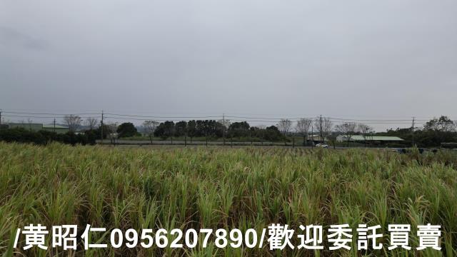台南新市農地-6