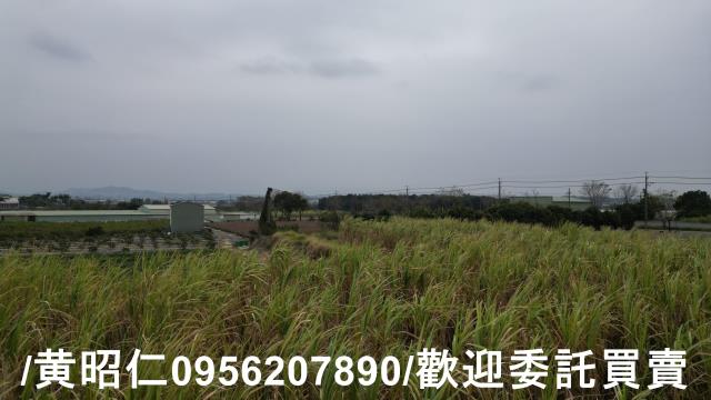 台南新市農地-7