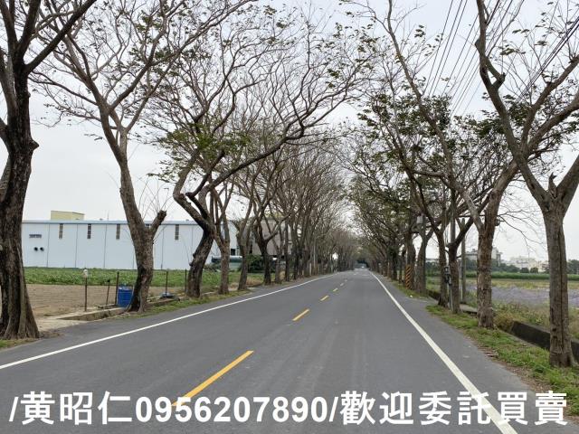 台南新市農地-8