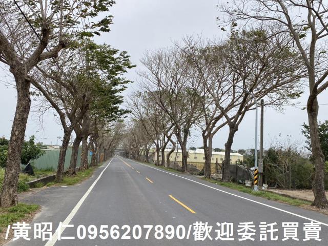 台南新市農地-9