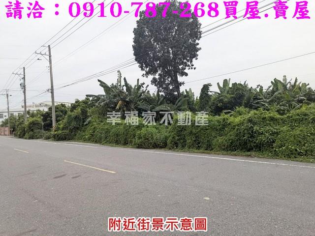 台南新市農地-10