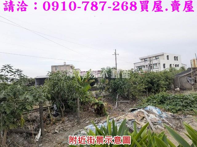 台南新市農地-3