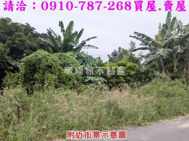 台南新市農地-5