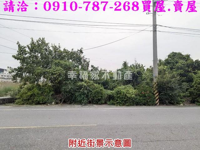 台南新市農地-6