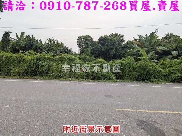 台南新市農地-9