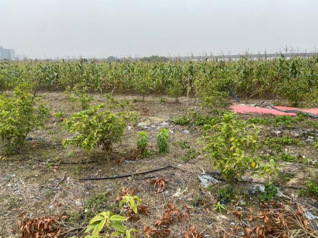 台南農地-14