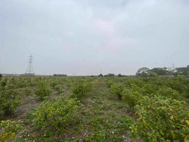 台南農地-15