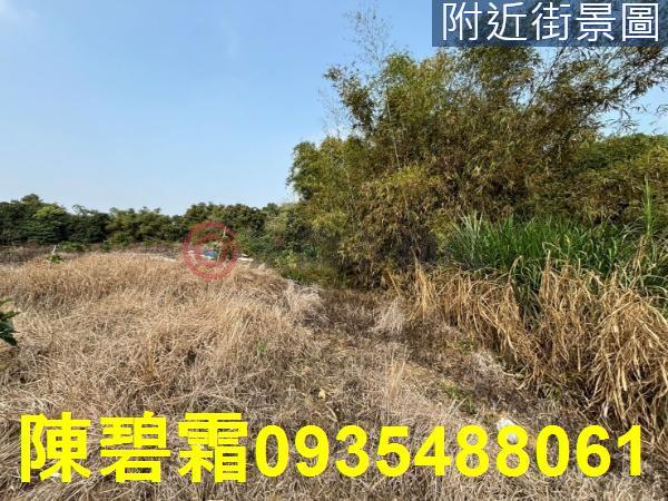 台南大內農地-3