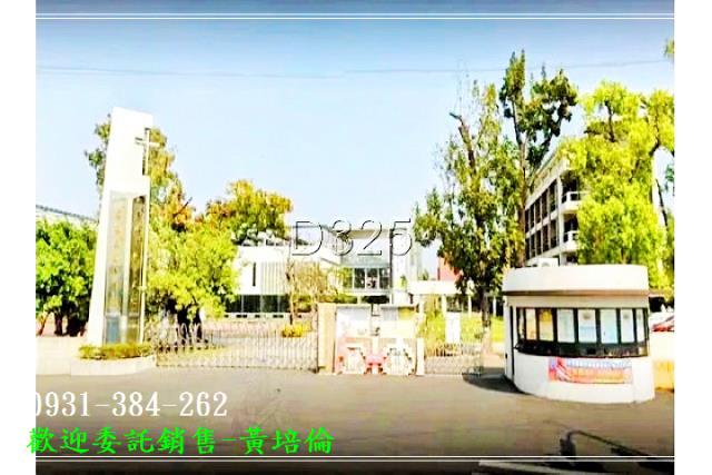 黎明中學柚子樹農地