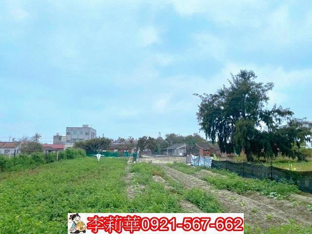 台南農地-12