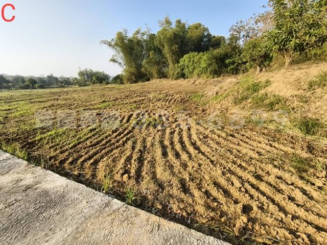 台南大內農地-1