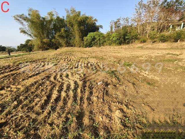 台南大內農地-2