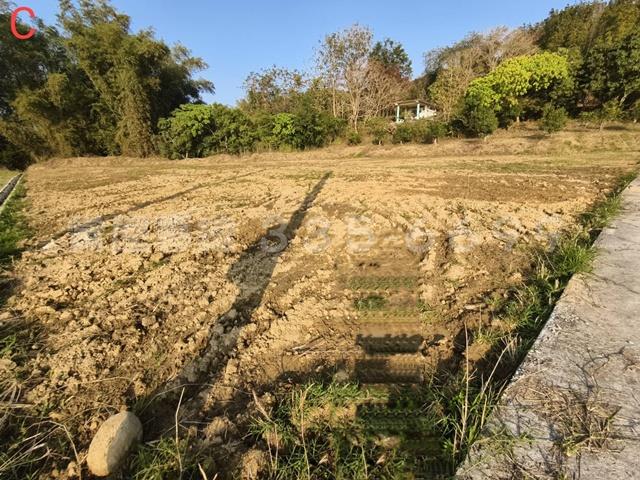 台南大內農地-3