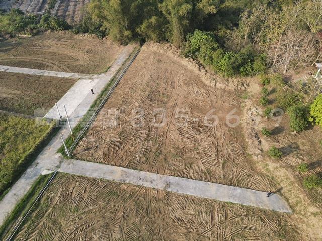 台南大內農地-8