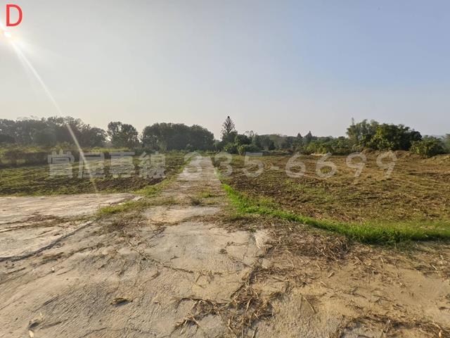 台南大內農地-2