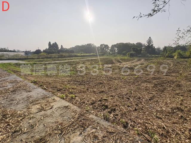 台南大內農地-3