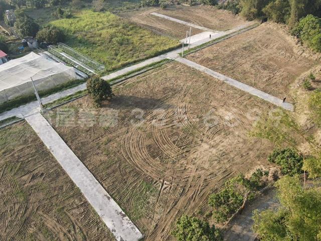 台南大內農地-6